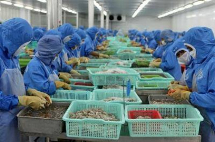 Xuất khẩu tôm Việt Nam sang EU hy vọng tăng trưởng nhờ Hiệp định EVFTA