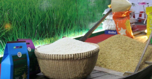 Nhanh chóng đưa 30.000 tấn gạo thơm sang EU