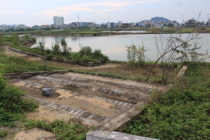 Dự án công viên 40 tỷ đồng tại Thanh Hóa: Chậm tiến độ, thành nơi chăn thả trâu, bò