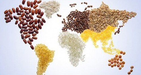 Ngân hàng thế giới cảnh báo về vấn đề an ninh lương thực