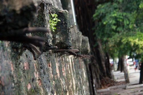 Nỗi niềm chín hộ dân sống trên nóc nhà tù hàng thập kỷ