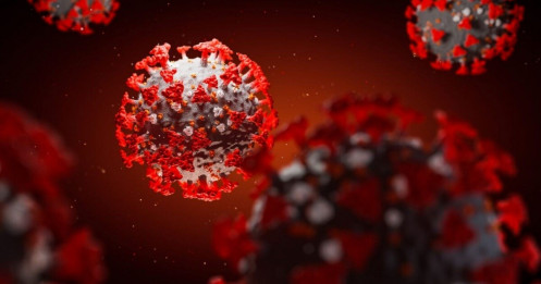 Phát hiện kháng thể có thể “vô hiệu hóa hoàn toàn” virus SARS-CoV-2