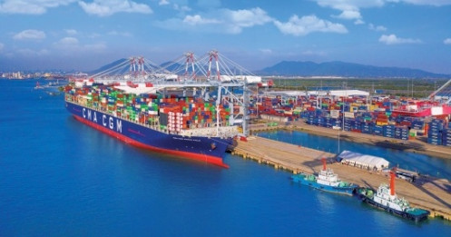 Doanh nghiệp EU muốn làm cảng Cái Mép Hạ gần 1 tỷ USD