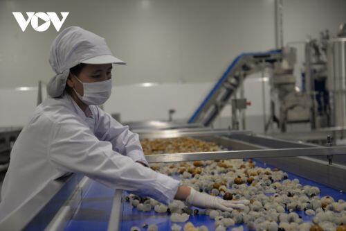 Khánh thành Nhà máy chế biến hoa quả tươi tại Vân Hồ