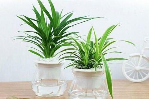 6 quan niệm phong thủy sai lầm nhà giàu ít tin, nhà nghèo lại "gật gù" làm theo