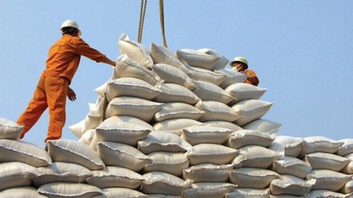 Gạo Việt rộng đường sang châu Âu nhờ Hiệp định EVFTA