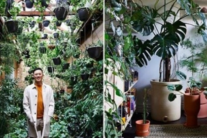 Ngắm “rừng trong nhà” độc đáo của kiến trúc sư 32 tuổi
