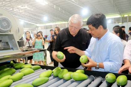 Xuất nhập khẩu nông - lâm - thủy sản Việt Nam - Hoa Kỳ: Tháo gỡ vướng mắc kiểm dịch