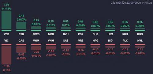 Chứng khoán rung lắc mạnh trong phiên 22/9, cổ phiếu bất động sản phân hóa