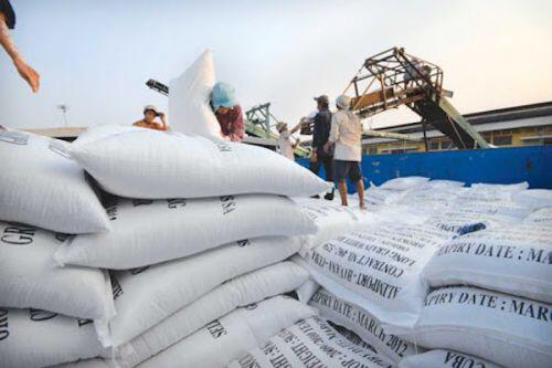 Nâng "chất" cho gạo Việt xuất khẩu