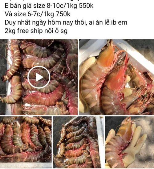 Bất ngờ loại tôm mỗi con có giá bằng cả lượng vàng, nay được rao bán "siêu rẻ”