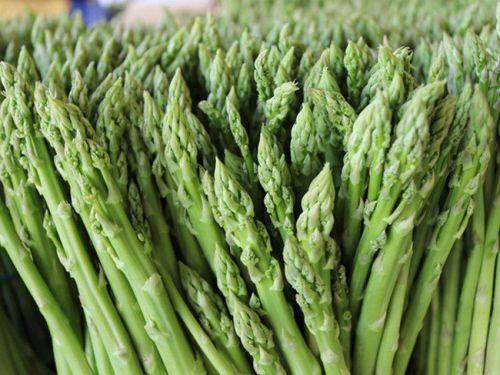Trồng thứ "rau Hoàng đế", nhiều người Việt kiếm bạc tỷ "rung đùi" chờ tiền về