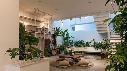 Ngôi nhà có không gian như công viên cây xanh ở ngoại ô Đà Nẵng