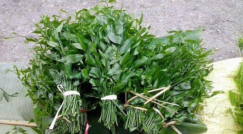 Việt Nam có 10 loại rau rừng mọc dại giá "đắt cắt cổ", có tiền chưa chắc đã mua được