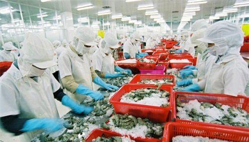 Thủy sản Việt Nam xuất sang 154 thị trường, riêng 6 thị trường lớn chiếm gần 80% kim ngạch
