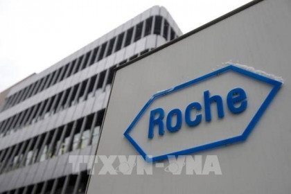 Hãng dược phẩm Roche xin lỗi vì gây gián đoạn chương trình xét nghiệm và truy vết ở Anh
