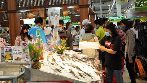 Đồng Tháp đưa cá tra 'bơi' ra thị trường Hà Nội
