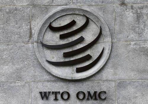 Vì sao WTO sắp có nữ lãnh đạo đầu tiên lại khiến Trung Quốc “khó xử”?