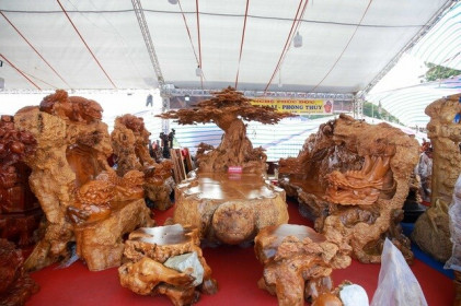Xôn xao bộ bàn ghế 'khủng' từ gỗ nu, chạm khắc tứ linh tinh xảo ở Hà Nội