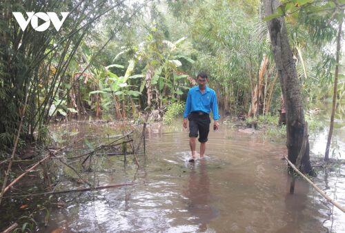 Ngập úng diện rộng ở Cà Mau: Học sinh nghỉ học, nguy cơ thiệt hại hàng ngàn ha lúa