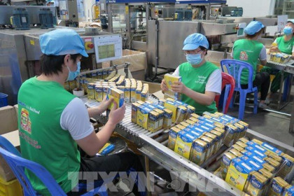 Thương hiệu sữa Việt đầu tiên vào Walmart