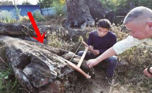 Hòn đá xấu xí, khúc gỗ mục nát bất ngờ có giá hàng chục tỷ đồng