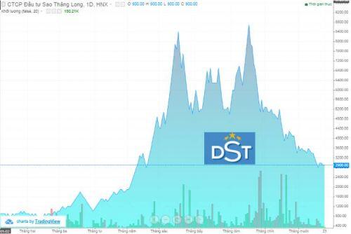 DST báo lãi chưa đến 10 triệu đồng trong quý 3