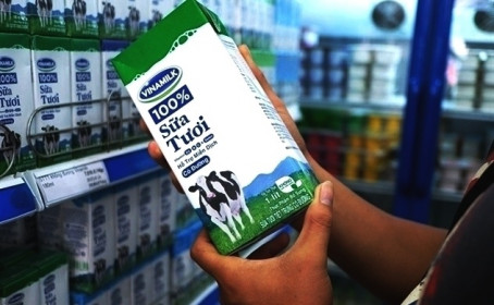 Vinamilk hưởng lợi từ kết quả kinh doanh của Giống Bò Sữa Mộc Châu