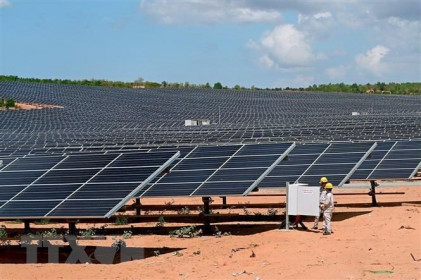 Khánh thành Nhà máy Điện mặt trời Hà Đô Ninh Phước có vốn đầu tư hơn 1.000 tỷ đồng