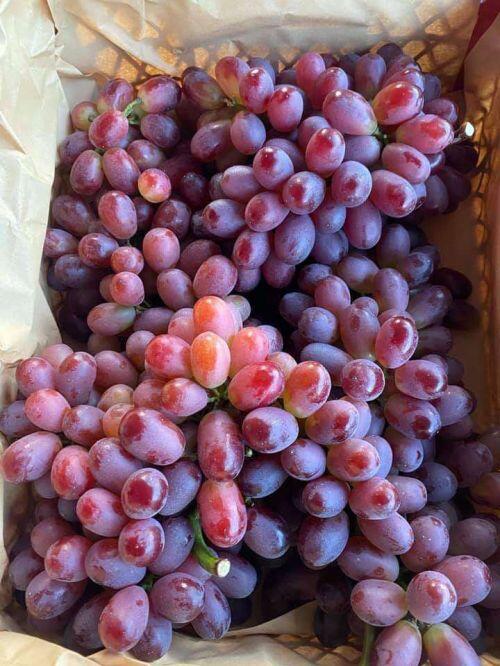 5 loại nho siêu rẻ, siêu ngọt đang "làm mưa làm gió" trên thị trường: Bật mí nguồn gốc