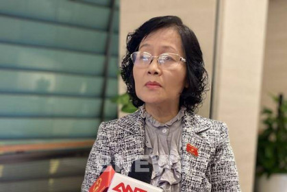 Bên lề Quốc hội: Làm rõ trách nhiệm chi trả đền bù cho người dân Nam Sơn