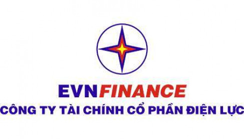 EVN bán hết 2,65 triệu cổ phần EVF