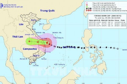 Tâm bão số 9 ngay trên vùng bờ biển từ Đà Nẵng đến Phú Yên