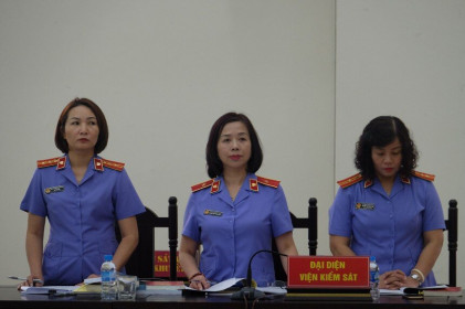 Đề nghị mức án đối với các bị cáo trong vụ án Trần Bắc Hà