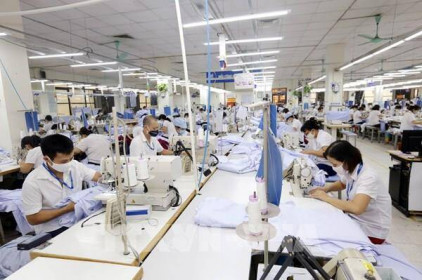 Quý III,  lợi nhuận sau thuế của Vicotex giảm hơn 11%