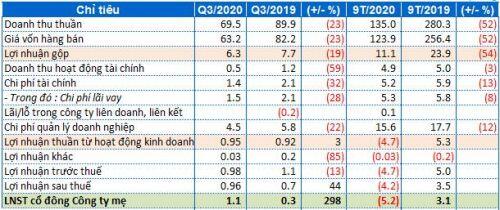 CSC: Doanh thu 9 tháng giảm 52%, lỗ ròng hơn 5 tỷ đồng