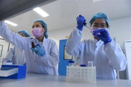 Kỳ vọng vắc xin Covid-19 Việt Nam: Sẵn sàng quy trình sản xuất đại trà