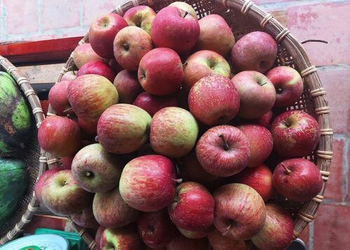 Táo đá Hà Giang giá siêu rẻ, dân buôn "vén màn" sự thật gây sốc