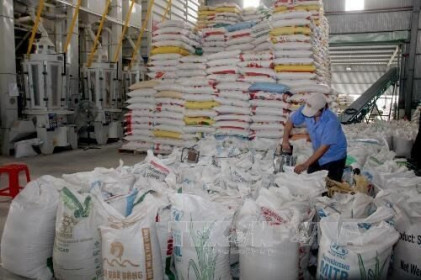 Thị trường nông sản tuần qua: Giá gạo 5% tấm Việt Nam giao dịch ở mức 493-497 USD/tấn