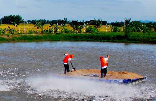Đại gia Việt chiếm đoạt 'núi tiền' rồi bỏ trốn, có người ôm 160 tỷ trốn cùng bạn trai
