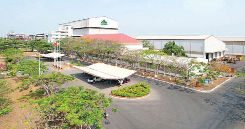 Khi doanh nghiệp niêm yết trở thành “F0”