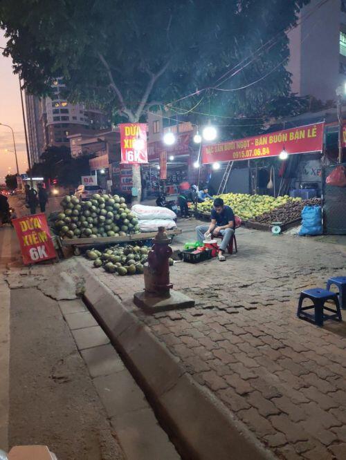 Trái cây Việt giá rẻ chưa từng có tràn lan khắp vỉa hè