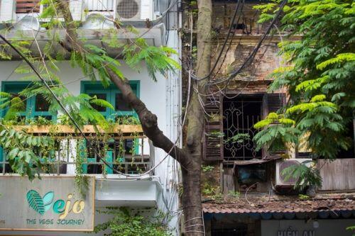 Hàng nghìn nhà phố Pháp cổ chờ sập tại Hà Nội: Cứu hết là điều không thể