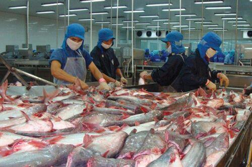 Cổ phiếu VHC có kịp bứt tốc?