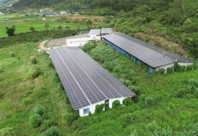10 tháng đầu năm, Lâm Đồng tiết kiệm 26,85 triệu kWh điện
