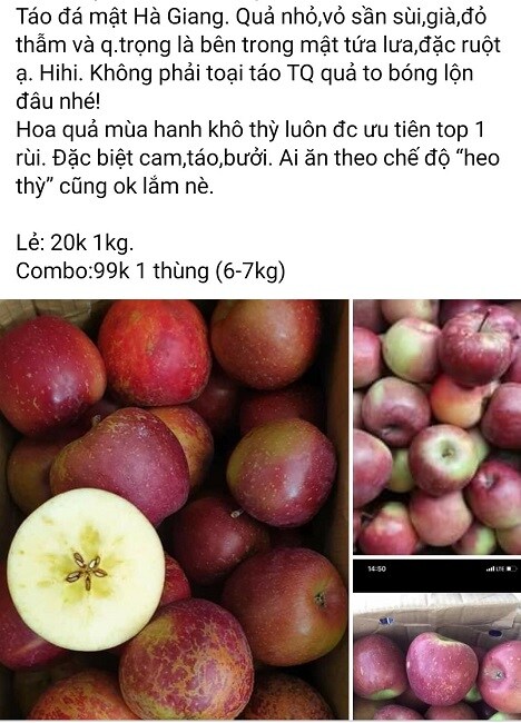 Sự thật về loại "Táo đá Hà Giang” giá siêu rẻ chỉ 5.000 đồng/kg tràn ngập thị trường