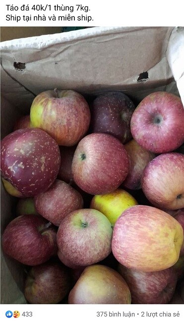 Sự thật về loại "Táo đá Hà Giang” giá siêu rẻ chỉ 5.000 đồng/kg tràn ngập thị trường