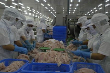 Trung Quốc tăng kiểm soát hàng thủy sản nhập khẩu, doanh nghiệp cá tra nên ‘bình tĩnh’
