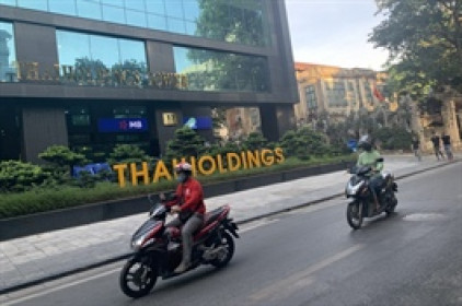 Thị giá 111,000 đồng/cp, THD sắp phát hành hơn 296 triệu cp giá chỉ 10,000 đồng/cp
