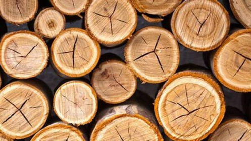 Sức bật "tỷ đô" của ngành công nghiệp gỗ